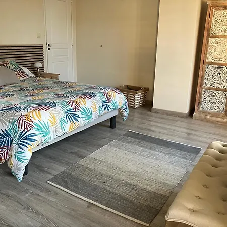 Maison De Maitre Sainte-Eulalie-en-Born