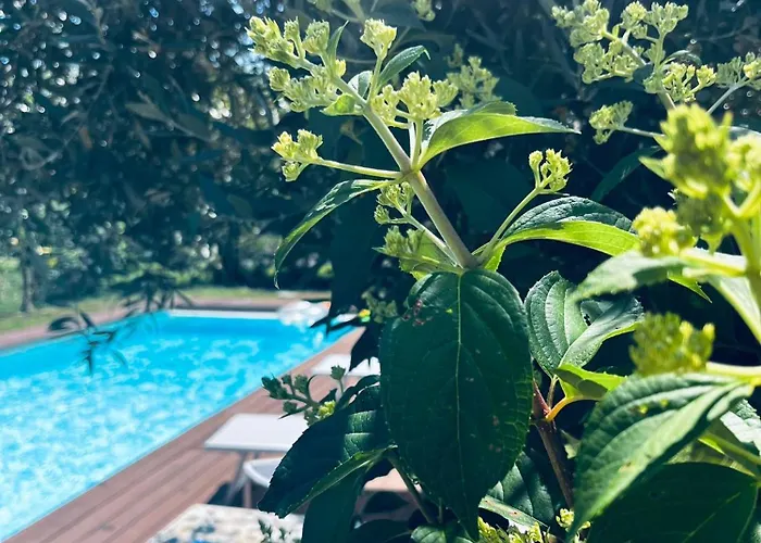 Maison De Maitre 빌라 Sainte-Eulalie-en-Born